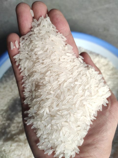 Jasmine Rice Fragrant new crop RIZ AU JASMIN ARROZ Strong Perfume Rice Long Grain Max Sortex LINDA WHATSAP 0084 989 322 607 - Image 6