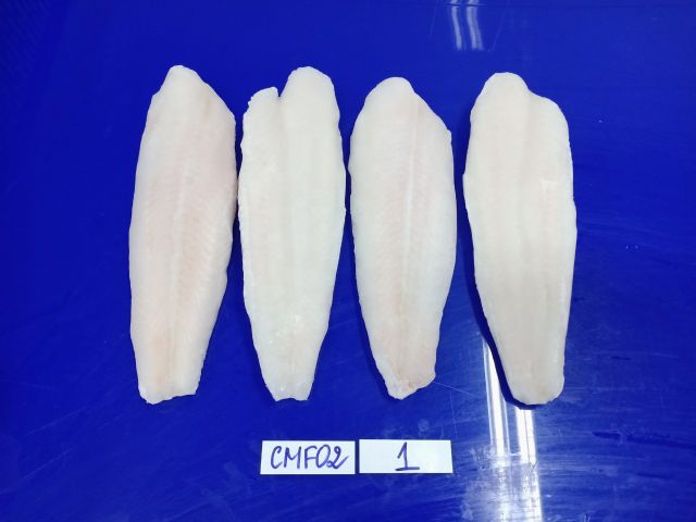 High Quality Frozen Pangasius Fillet/ Basa Fish/ Cream Dory Fish From Vietnam Factory - Image 2