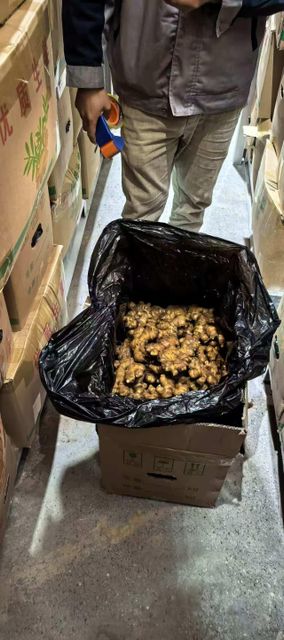 Fresh Ginger（Chinese origin), 150g & up, Export standard,10kg/Carton o。"Bright yellow, 100% fresh" o . - Image 3