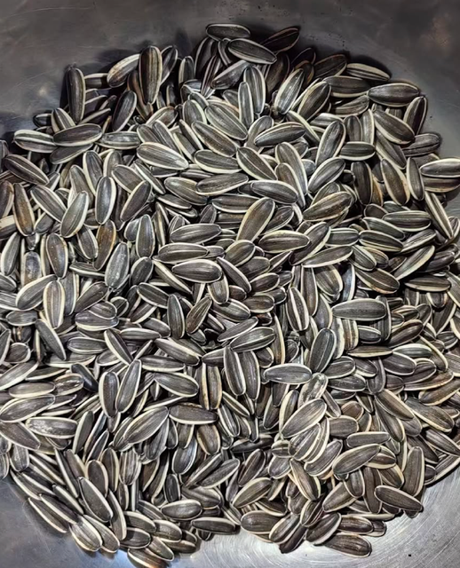 Buy Agricultural Seeds – Premium Plantable Sunflower Seeds High-Quality Seed Grade 1kg,25kg Bags - Image 1
