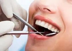 Preventive Dentistry Dietary Guidance Offered Preventive Care Focus Yes Brushing And Flossing Advice Provided Plaque Removal Service Thorough Cleaning - Image 1