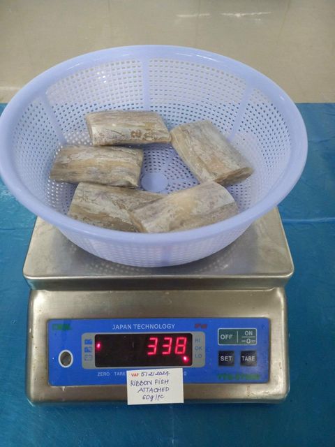 FROZEN HAIRTAIL - CUTTED ( STEAK) - RIBBON FISH - Cut Fillet Origin Vietnam Features Organic Freshness Level Frozen Place of Origin Việt Nam - Image 5