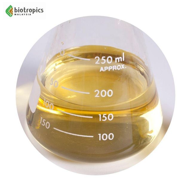 Factory Wholesale Bulk Cold Pressed Food Grade 100% Pure Virgin Coconut Oil for Diet or Skincare Routine - Image 3
