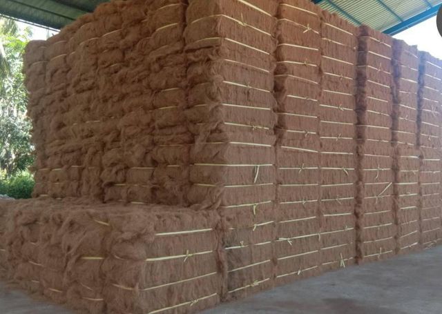 Premium Coco Peat | Organic Coir Pith for Gardening, Hydroponics & Agriculture - Image 4