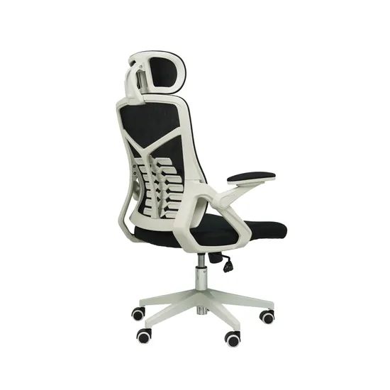 Ergonomic Office Executive Mesh Chair Test BIFMA Origin China Condition New Rotary Rotary Folded Unfolded Sample - Image 2
