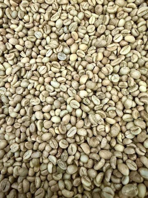 212 Brazilian Coffee Beans Blend of Grains Arabica Conilon-Roasted-New Crop-CAICARA Brand-FOB Price Per 250gr - Image 4