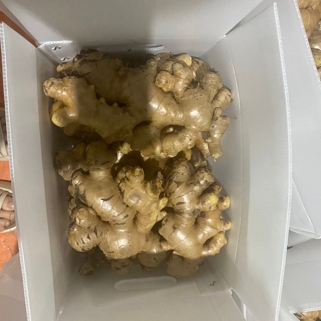 Fresh Ginger Fast Delivery Fresh Best Choice No Preservatives For Cooking Vinagreen Customized Packing From Vietnam Factory - Image 6