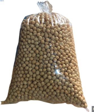 NON GMO Soya Beans for Sale Max Yellow Gift Crop Bulk Style Packing Packaging Food YZF Color Weight Shelf Origin - Image 4