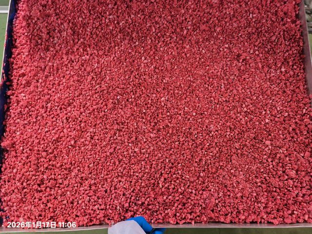 Freeze dried fruits/freeze dried mango slices/freeze dried dragon fruits/freeze dried pineapple slices - Image 4