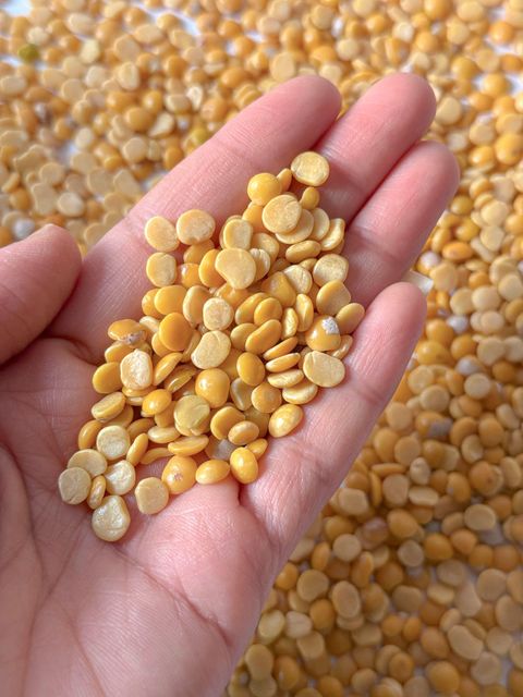 Toor dal, Arhar Dal Tuvar Dal, Pigeon Peas, Gungo Pea, Yellow Split Peas, Split pegeon peas, Congo Peas - Image 2