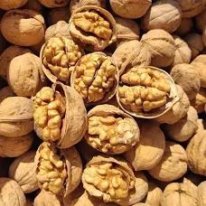 Wholesales Walnut Kernels Blanched Peanuts Nuts and Kernel Peeled Walnuts Raw White Walnuts Edible Kernels - Image 2