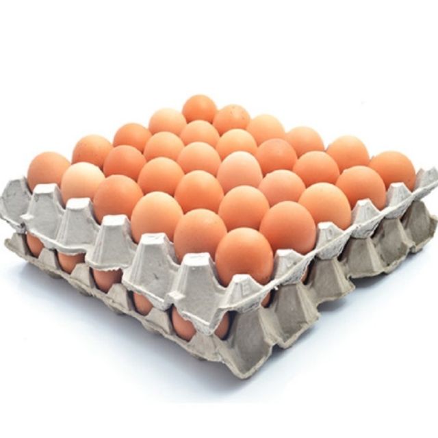 Fresh White and Brown Farm Chicken Eggs from GERMANY Style Fresh Brand Name EGG Variety Table Egg Color White & Brown Model Number MZ8310356 - Image 3