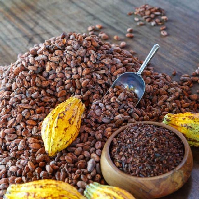 Dried Cocoa Beans For Chocolate Processing And Confectionery Manufacturing With Full Cocoa Flavor Natural Aroma - Image 1