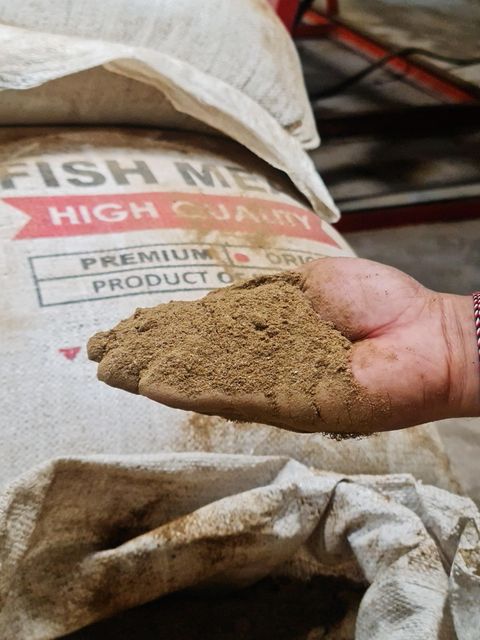 Fish Meal 60% Protein – Steam Dried, Low TVBN, Feed Grade, Bulk Supply Indonesia - Image 1