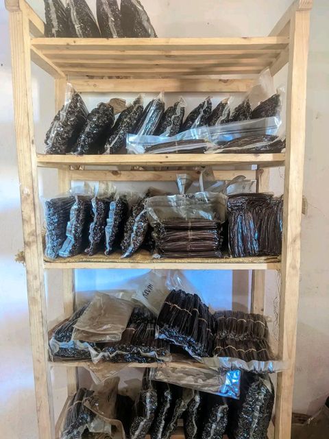 Vanilla – product photo 4, product detail gallery