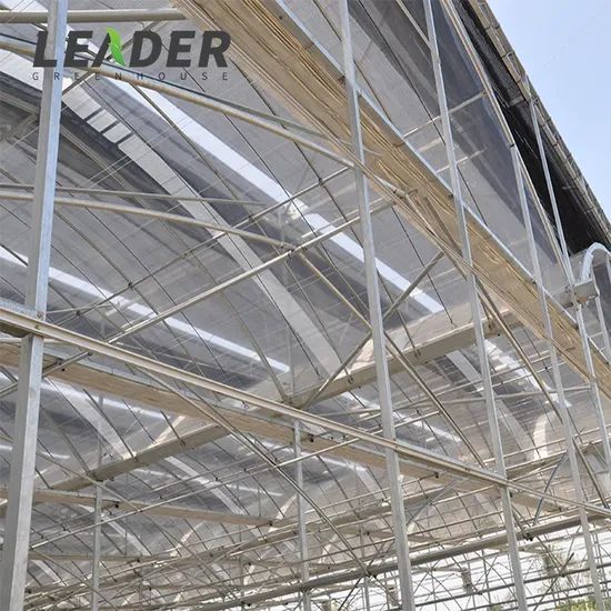 Solar Greenhouse Plastic Films and Strawberry Greenhouses for Agriculture - Image 4
