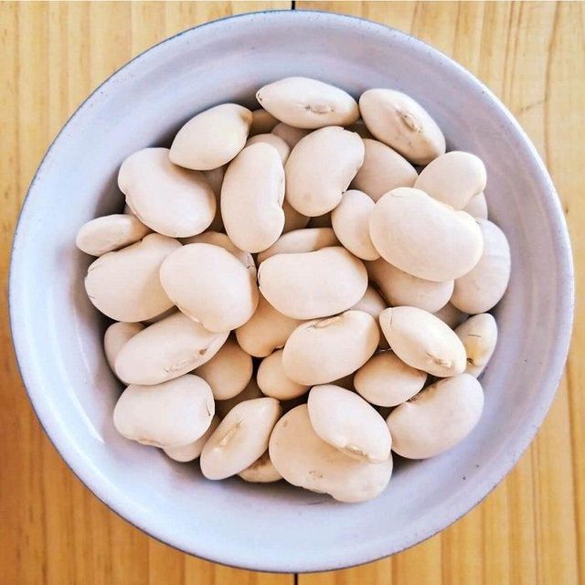 Leading Supplier High Quality Wholesale Bulk Dried White Kidney Beans - Image 4