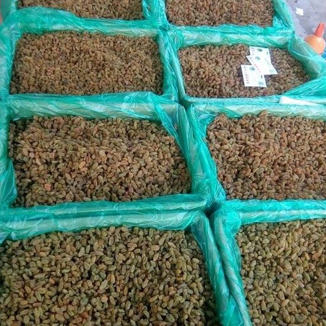 Dried fruit green raisin Content / Address / Shape Long Taste sweet Type Raisin Ingredients / Weight (kg) 20 Model Number - Image 6