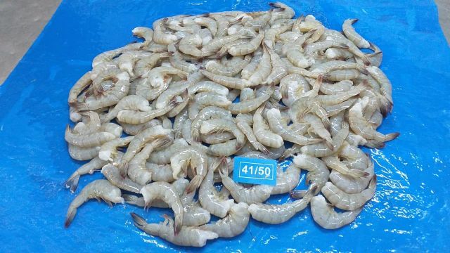 FROZEN VANNAMEI SHRIMPS HLSO BEST PRICE INDIAN SHRIMPS – product photo 2, product detail gallery