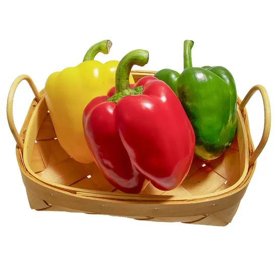 China Fresh Capsicum with Red/ Yellow/ Green Color - Image 5