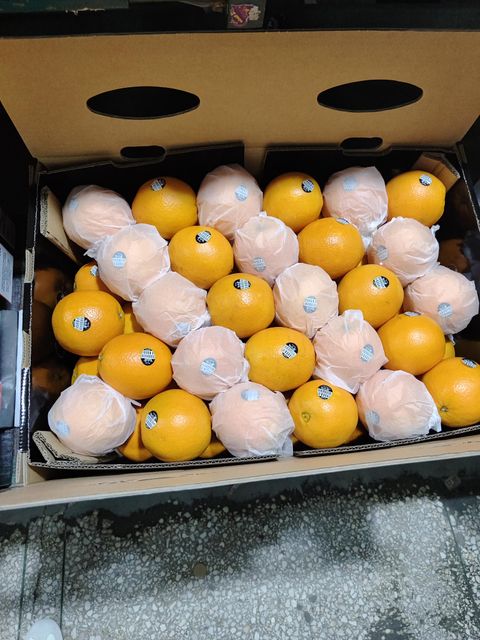 Premium Chinese Fresh Oranges for Export with Superior Sweet Flavor - Image 3