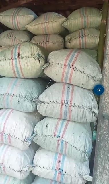Coconut Shell Charcoal - High Carbon ≥70% & Low Ash ≤3% Color Black Age > 5 Years Ash Content ≤ 3% Volatile Matter ≤ 13% - Image 2