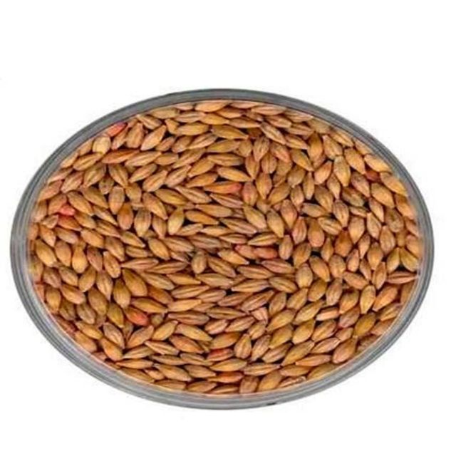 Bulk Barley Grain With Natural Aroma Premium Barley Grain Ideal For Food Manufacturers And Export Buyers - Image 4