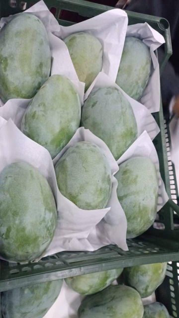 Fresh Mango Organic Yes Origin Egypt Degree of Processing Frozen Degree Of Maturity Mature, Semi-Ripe, Unripe - Image 2