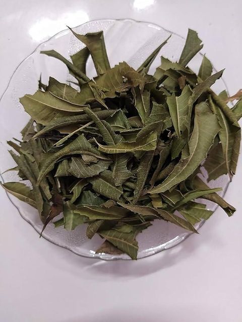Premium Dried Neem Leaves & Pure Neem Powder (Azadirachta Indica) - 100% Natural & Cleaned Indian Herb for Skincare, Ext - Image 3
