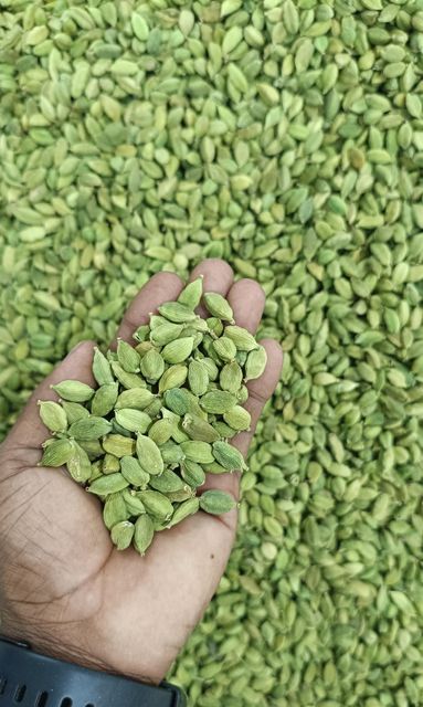 7 to 8 mm Green Cardamom - Image 2
