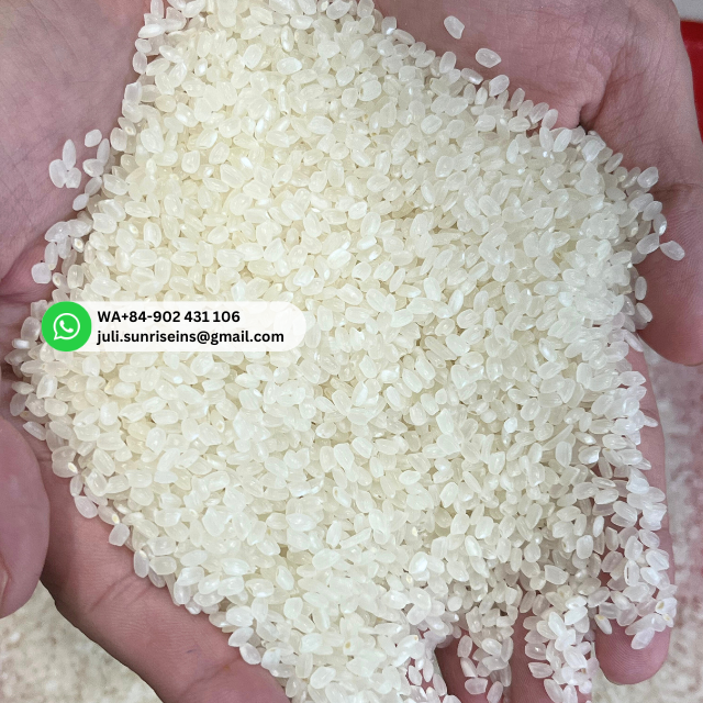 WHOLESALE / FREE SAMPLE Japonica Rice / Round Rice / Short Grain - Juli WA0084902431106 - Image 3