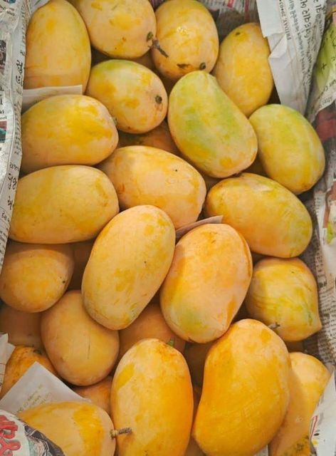 Frozen Cat Chu Mango Dices (10x10mm / 20x20mm) - Image 3