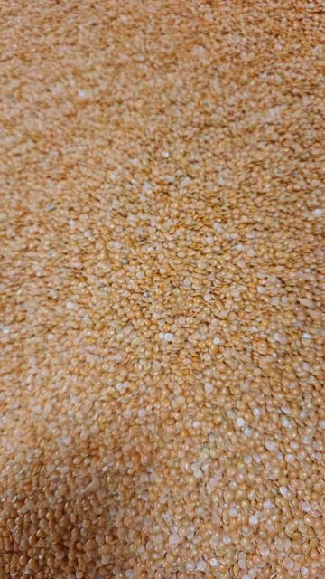 Canada imported toor dal processed in India -first quality product masoor dal adithya brand - Image 2