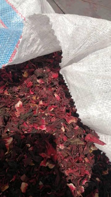 DRIED HIBISCUS FLOWER - Image 2
