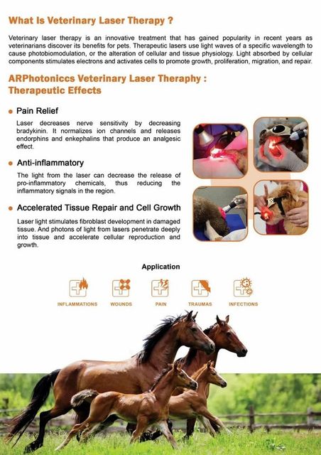 A R PHOTONICS Veterinary Diode Laser Systems (15 Watt) Voltage 15 watt Laser Type Diode Brand A R PHOTONICS Laser Technology - Image 2