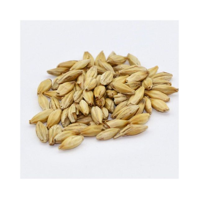 High Quality Malted Barley Available For Bulk Purchase And Retail Sale - Image 5