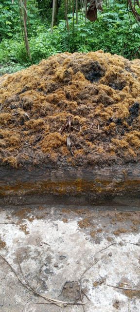 Crude palm oil - Image 3