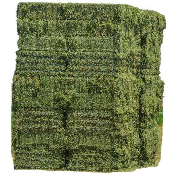Cheap Top Quality Alfafa Hay for Animal Feeding Stuff Alfalfa ,hay/Timothy hay Alfalfa Hay at very cheap price / Quality Rhodes Grass Hay Alfalfa Alfafa Hay for Animal Feeding /alfalfa hay pellets /Timothy Hay in Bales - Image 4