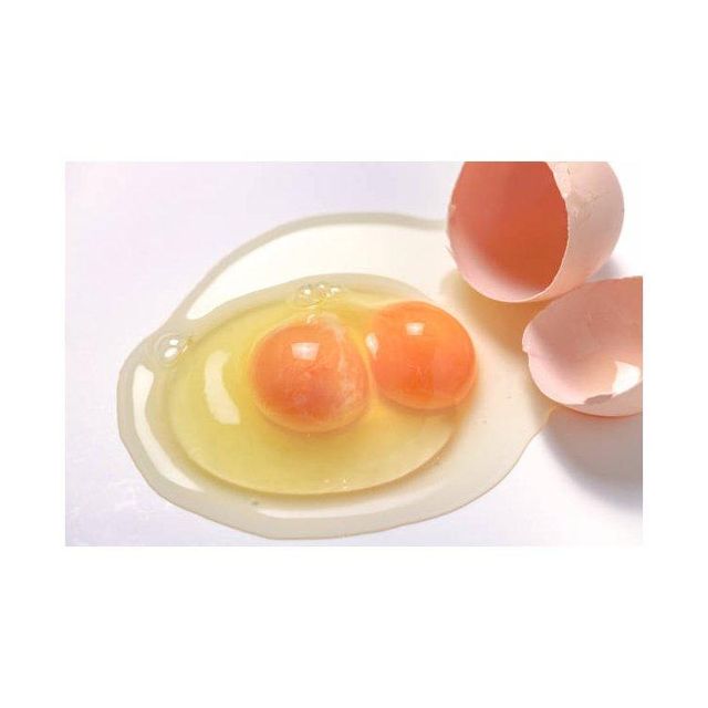 Feed Nutrition Egg Yolk Powder Yolk for Cat Food Feed Nutrition Egg Yolk Powder Yolk for Cat Food Feed Nutrition Egg Yolk Powder Yolk for Cat Food Feed Nutrition Egg Yolk Powder Yolk for Cat Food Feed Nutrition Egg Yolk Powder Yolk for Cat Food Feed Nutrition Egg Yolk Powder Yolk for Cat Food Feed Nutrition Egg Yolk Powder Yolk for Cat Food Feed Nutrition Egg Yolk Powder Yolk for Cat Food - Image 3