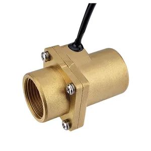 Simple Structure Customized Flow Switch for Plant Waste Water Tank - Image 1