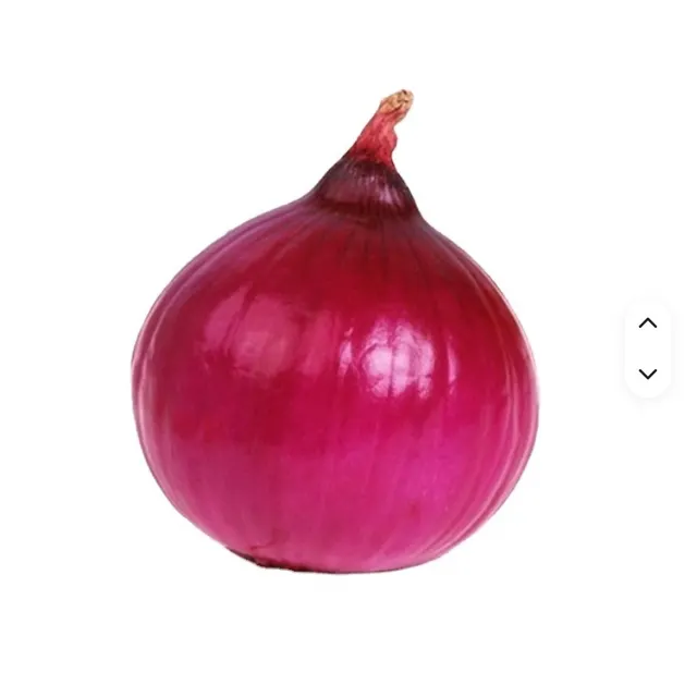 Red Onion Grade 1 Purple Onion Peeled Onion Wholesale - Image 1