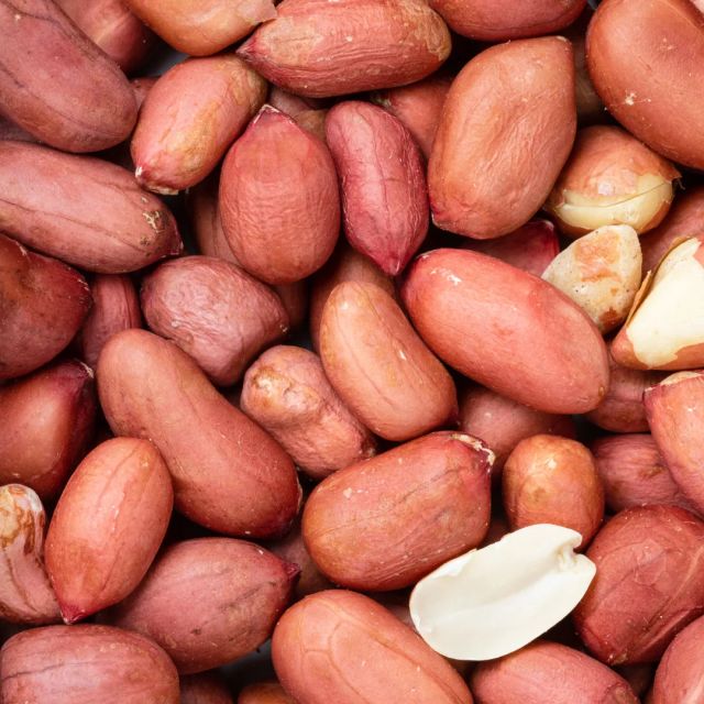 The Wholesale Price Raw Peanuts in Shell for Sale Grade A Type Peanuts Packaging Custom Brand Name Custom Form Chopped, Ground, Peeled, Whole - Image 3