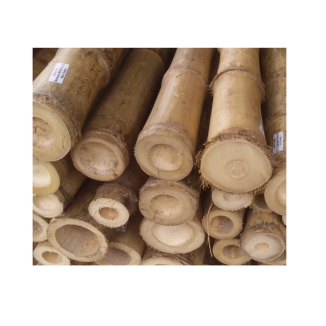 Bamboo products decorative bamboo poles bamboo raw materials from 99 Gold Data (84 327076054) - Image 1