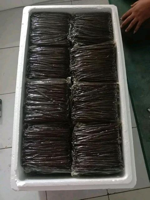 Vanilla Flavor Rich And Sweet Texture Fresh And Firm Aroma Strong And Natural Application Culinary And Fragrance Processing Method Handpicked And - Image 1