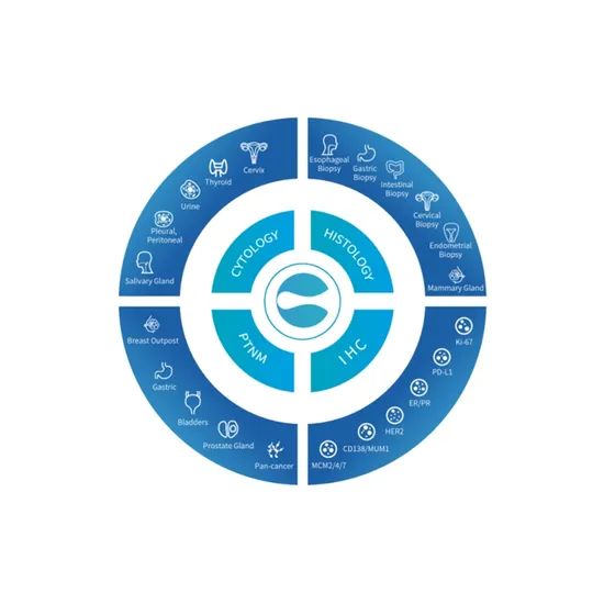 Pathology Ai System Medical Equipment Medical Instrument Group All Origin China Certification CE Trademark Gmedisys Application2 - Image 2
