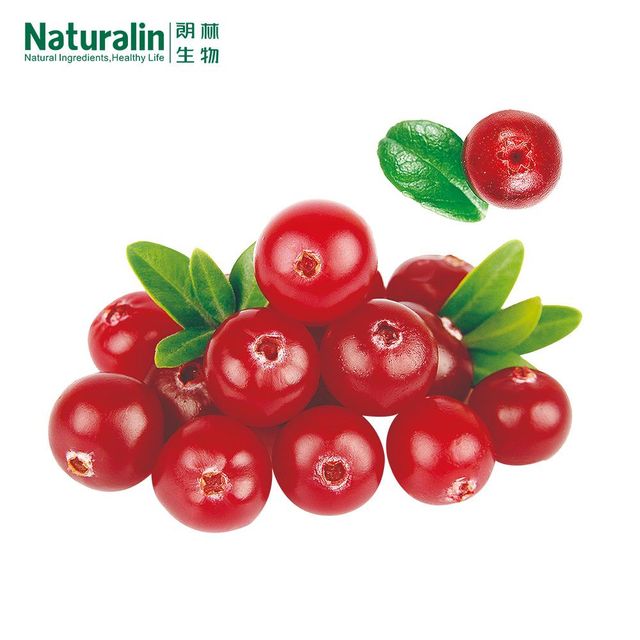 Cranberry Powder - Image 4