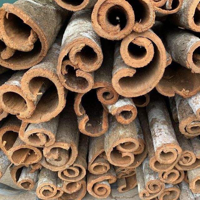 Whole Tube Cassia (unpeeled) Origin Vietnam Form Whole Stalks Port Hai Phong Port Max. Moisture (%) 13.5 Packaging 40kg / PP bag - Image 5