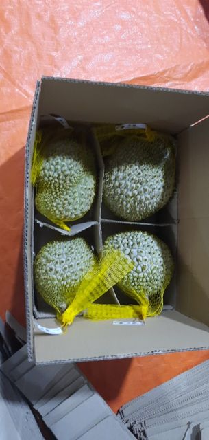 Wholesaler Fresh Durians Monthong Fresh Durian Flesh , Thai fruit Organic Packed In Box Vietnam Manufacturer, King Durian - Image 4