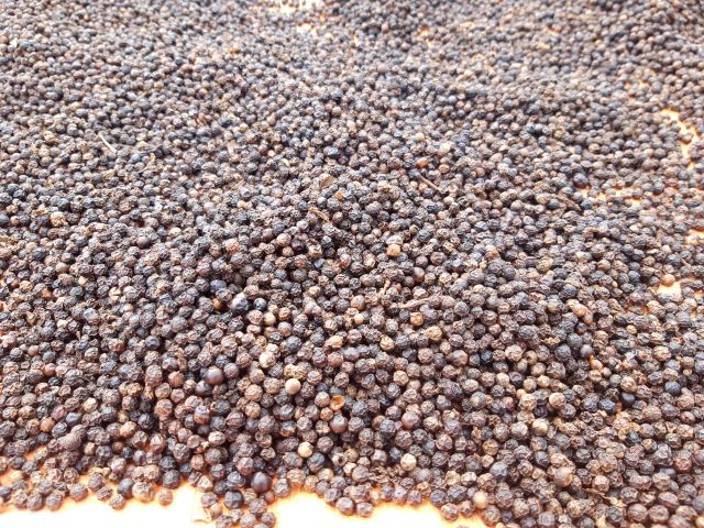 organic Vietnam black pepper super flavorful – product photo 3, product detail gallery