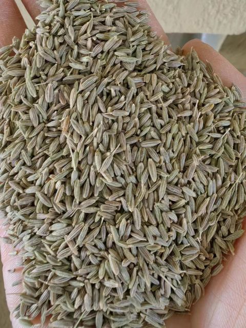 Chinese New Crop Wholesale price cumin seeds single spices A grade cumin seeds for sale - Image 5